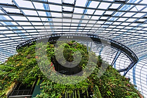 Cloud Forest Dome at Gardens by the Bay in Singapore