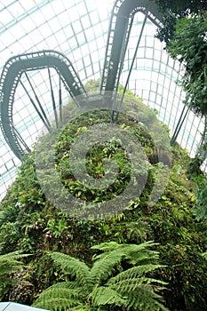 Cloud Forest, Gardens by the Bay.