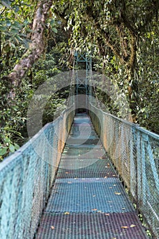 Cloud Forest hanging bridge, Costa Rica