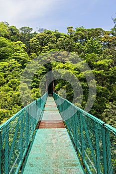 Cloud Forest, Hanging Bridge, Monteverde, Costa Rica