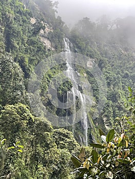 Cloud Forest La Chorrera Waterfall Colombia