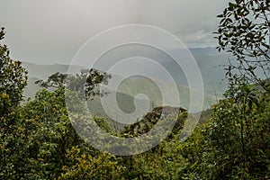 Cloud forest in National Park Podocarpus photo