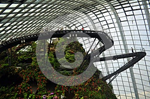 Cloud forest walkway- Gardens by the bay