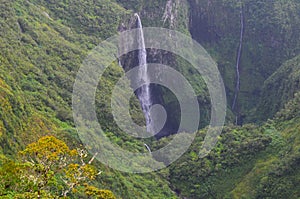 Cloud forests and waterfalls in RÃ¨union national park