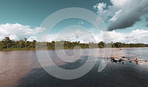 Cloud Formation Landscape Scenery In Suriname