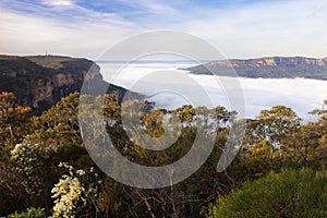 Cloud inversion Jamison Valley Blue Mountains Australia
