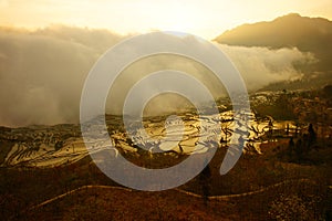 Cloud of mist entering and covering a rice field at sunset in China.