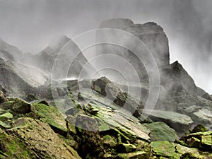 A cloud of mist envelopes a the mossy rocks of Niagara Falls - NEW YORK - USA