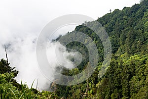 The cloud on the mountain