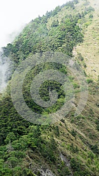 The cloud on the mountain