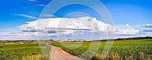 Cloud over rural landscape of Alberta farm fields