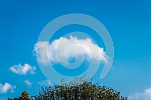 Cloud over tree