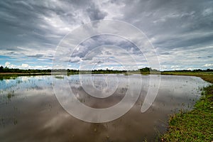 Cloud Reflection On Lake