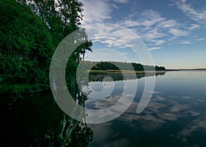 Cloud reflections in clear and calm lake water, tree silhouettes in the foreground, summer morning