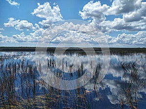Cloud Reflections Florida Everglades