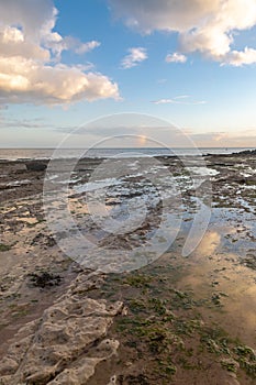 Reflections at Low Tide