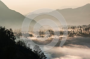 Cloud Sea at Gunung Penanjakan