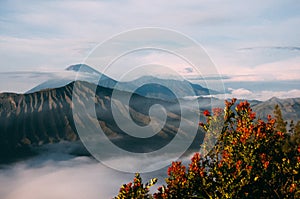Cloud Sea at Gunung Penanjakan near Bromo Volcano