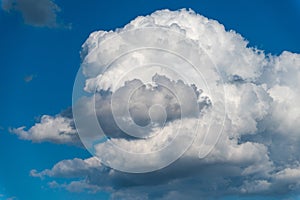 Cloud in the shape of an animal