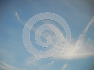 Cloud in shape that is resembling bird and wing