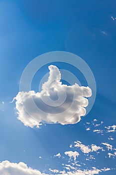 Bird-Shaped Cloud Flying in Blue Sky