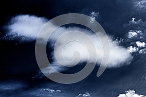 Cloud is shaped like a bird