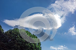 Cloud in the sunny sky taking fish shape