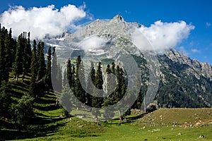 Cloud on the top of mountain