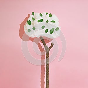 cloud tree with green leaves.pink background concept design autumn idea.aesthetic nature