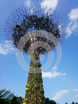 Cloud Tree Singapore Garden by the bay