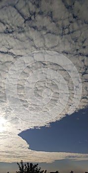 cloud tree Sun clud sun tree