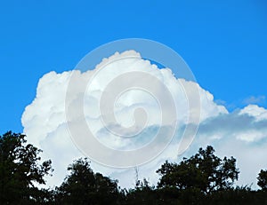 white clouds in the sky