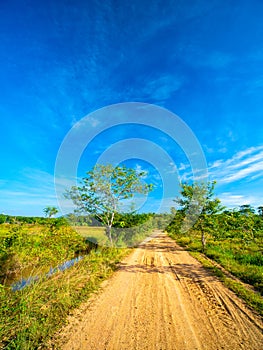 Cloud with vivid blue sky over local road