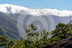 Cloud waterfall phenomenon at La Palma island, Spain near viewpoint Cumbrecita