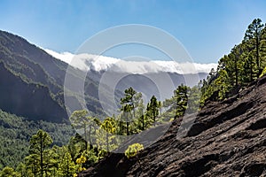 Cloud waterfall phenomenon at La Palma island, Spain near viewpoint Cumbrecita