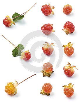 Cloudberries