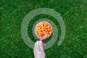 Cloudberry berry. Red Cup of ripe cloudberries in a man`s hand on a background of greenery