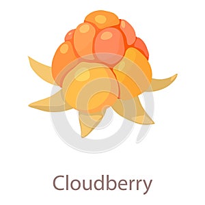 Cloudberry icon, isometric 3d style