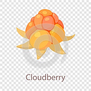Cloudberry icon, isometric 3d style