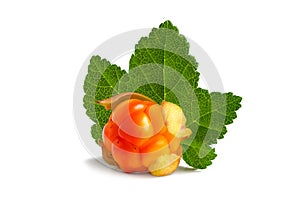 Cloudberry with leaf isolated on white background