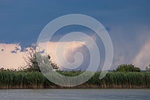 Cloudburst over a lake with reedbelt photo