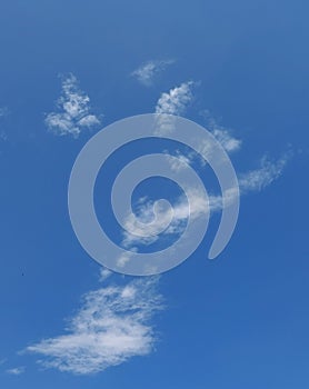 Cloude in the city  Ã°Å¸ÅÂ¥