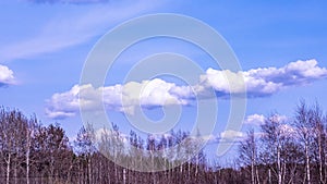 clouds against the background of the sunny sky