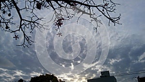 Cielo Sky Cloud Nube Sol Sun