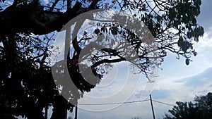 Cielo Sky Cloud Nube Sol Sun