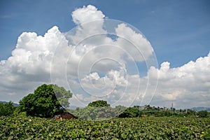 Clouds in the blue sky,dramatic sky.