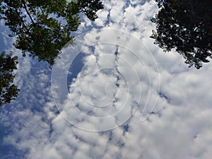 Clouds and blue sky with framing leaf. Background clouds