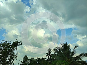 Clouds in the blue sky and green trees with cop space on above for add text