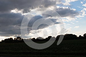 Clouds and blue sky over a grass area and trees at the horizon in geeste emsland germany