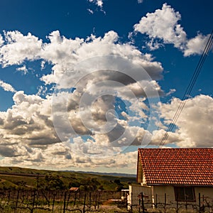 Clouds and blue sky over rolling California Vineyards